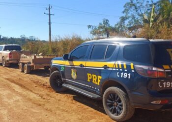 PRF em Rondônia apreende quase 2,5 toneladas de cassiterita em Ariquemes/RO