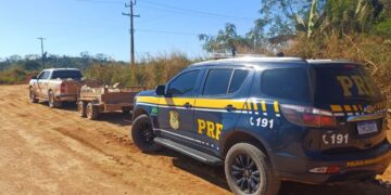 PRF em Rondônia apreende quase 2,5 toneladas de cassiterita em Ariquemes/RO
