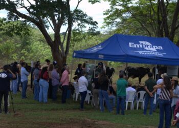 Escola da Pecuária Sustentável reúne produtores e fortalece práticas sustentáveis no campo em Porto Velho