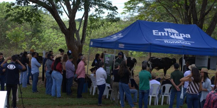 Escola da Pecuária Sustentável reúne produtores e fortalece práticas sustentáveis no campo em Porto Velho