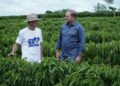 Projeto Raízes do Café recebe R$ 700 mil com apoio de Cirone Deiró