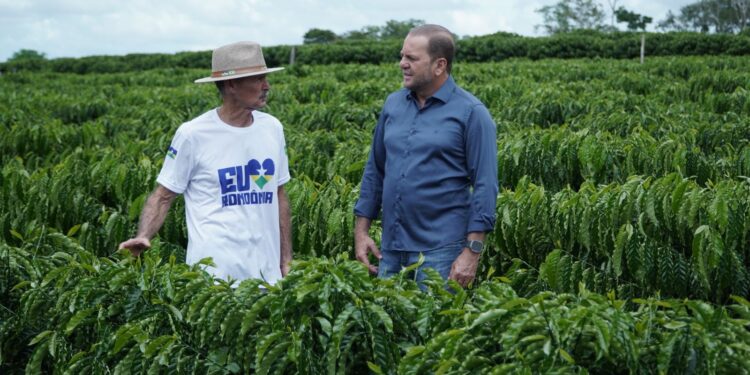 Projeto Raízes do Café recebe R$ 700 mil com apoio de Cirone Deiró