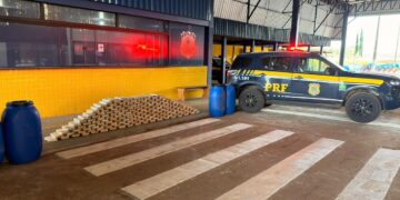 PRF em Rondônia apreende quase 200 Kg de Skunk na BR-364
