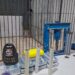 PM apreende drogas, prensa e motocicleta utilizada por suspeito em casa abandonada na zona Leste de Porto Velho