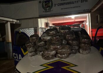Polícia Militar apreende mais de 30 quilos de maconha durante abordagem em São Francisco do Guaporé