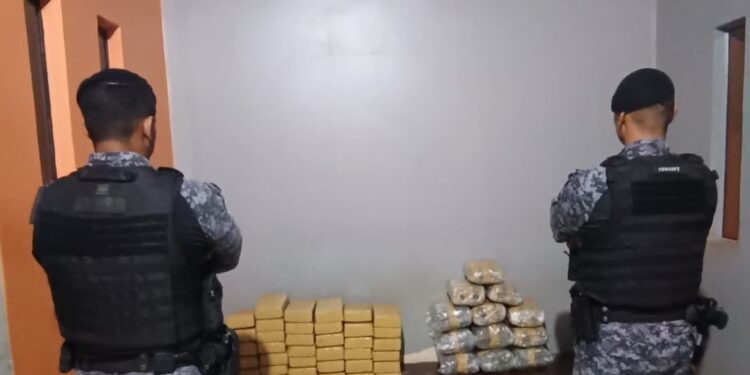 RONDÔNIA: OPERAÇÃO BRASIL CONTRA O CRIME APREENDE MAIS DE 52 QUILOS DE DROGAS E FRUSTRA AÇÃO DO CRIME ORGANIZADO