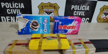 DENARC e Receita Federal apreendem cerca de 3 quilos de drogas em carga de cesta básica na capital