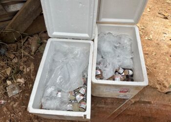 RONDÔNIA: OPERAÇÃO BRASIL CONTRA O CRIME ORGANIZADO APREENDE 400 FRASCOS DE VACINA VETERINÁRIA DE CONTRABANDO