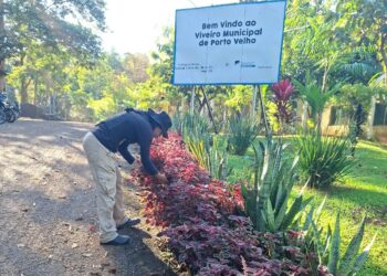 Sema suspende temporariamente distribuição de mudas durante o verão amazônico em Porto Velho