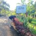 Sema suspende temporariamente distribuição de mudas durante o verão amazônico em Porto Velho
