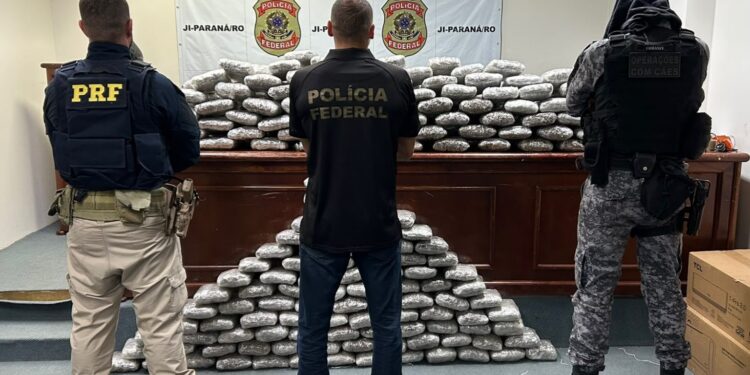 POLÍCIA MILITAR – FORÇAS DE SEGURANÇA APREENDEM CERCA DE 170 QUILOS DE MACONHA NO INTERIOR DE RONDÔNIA
