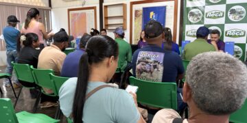 Mutirão leva cidadania ao campo e ultrapassa 1,2 mil atendimentos na zona rural de Porto Velho