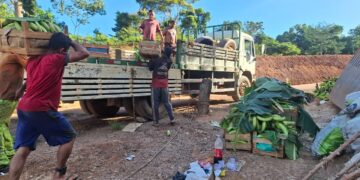 Transporte gratuito da produção beneficia centenas de agricultores familiares no primeiro semestre de 2026