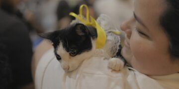 Feira de adoção busca novos lares para cães e gatos resgatados em Porto Velho