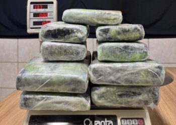PF apreende 13 kg de entorpecente no Aeroporto de Porto Velho/RO
