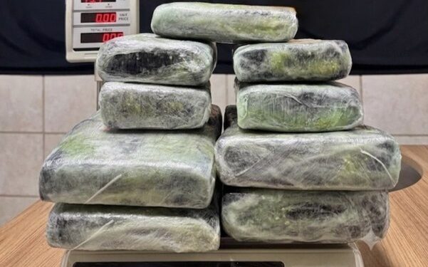 PF apreende 13 kg de entorpecente no Aeroporto de Porto Velho/RO