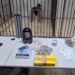 Operação Caçador: PM apreende drogas, balanças e dinheiro durante ação em Porto Velho