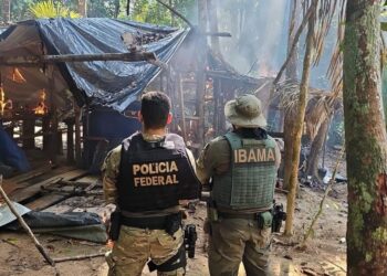 PF e Ibama combatem garimpo ilegal em terra indígena