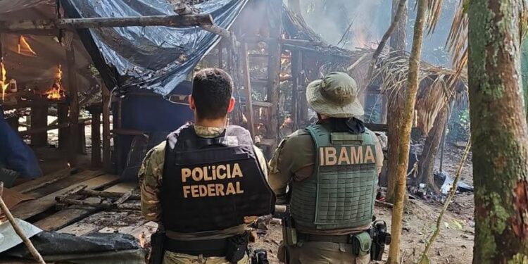 PF e Ibama combatem garimpo ilegal em terra indígena