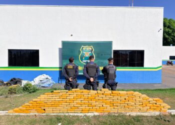 Ação integrada apreende mais de 414 kg de drogas durante Operação Brasil Contra o Crime Organizado em Rolim de Moura