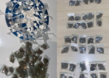 POLÍCIA MILITAR APREENDE 94 PORÇÕES DE DROGAS DURANTE PATRULHAMENTO NO ORGULHO DO MADEIRA