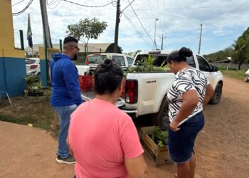 Educação ambiental e distribuição de mudas fortalecem conscientização em Vila da Penha e Abunã