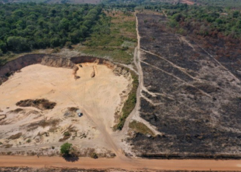 MPF move ação contra responsáveis por mineração ilegal e desmatamento de área pública de Rondônia