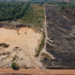 MPF move ação contra responsáveis por mineração ilegal e desmatamento de área pública de Rondônia