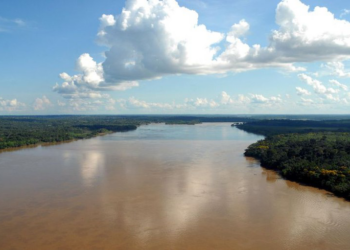 MPF ajuíza ação contra empresa por danos causados por extração mineral ilegal e desmatamento em Porto Velho (RO)