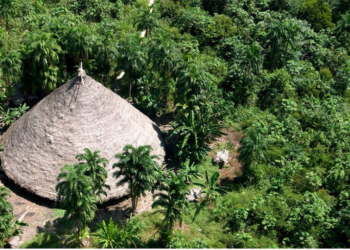 MPF processa Banco do Brasil por financiar atividade ilegal em terra indígena de Rondônia