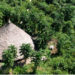 MPF processa Banco do Brasil por financiar atividade ilegal em terra indígena de Rondônia