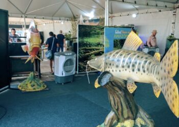 Piscicultura, peixes da Amazônia ganham novos caminhos para o desenvolvimento regional