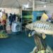 Piscicultura, peixes da Amazônia ganham novos caminhos para o desenvolvimento regional