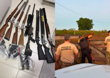 PF atua contra crimes ambientais e lavagem de dinheiro