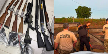 PF atua contra crimes ambientais e lavagem de dinheiro