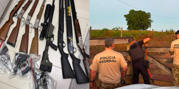 PF atua contra crimes ambientais e lavagem de dinheiro