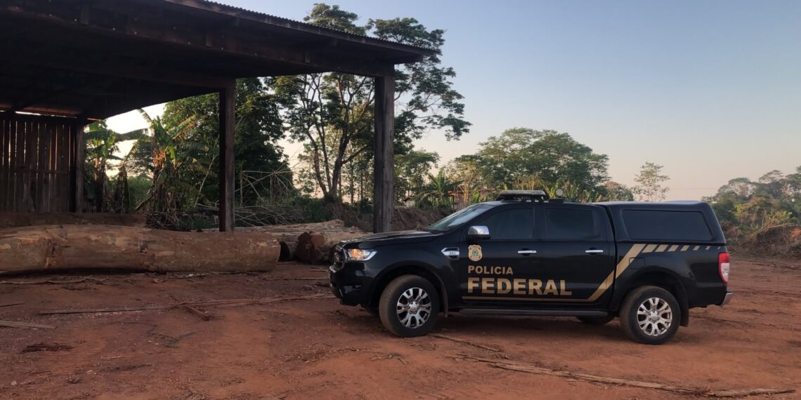 PF apura exploração ilegal de madeira em terras indígenas