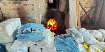 PF destrói cerca de 3,6 toneladas de drogas em Guajará-Mirim/RO