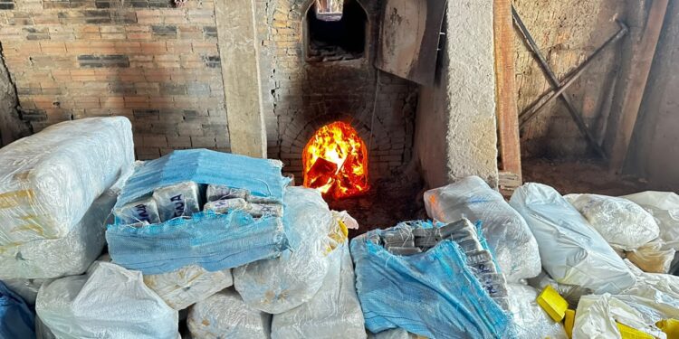PF destrói cerca de 3,6 toneladas de drogas em Guajará-Mirim/RO