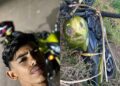 JOVEM: Motociclista de 19 anos morre após acidente na RO-010, entre Rolim de Moura e Nova Estrela