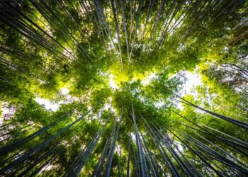 Em Ji-paraná, IDOMED realiza Seminário ESG 2026 com programação gratuita e foco em impacto local