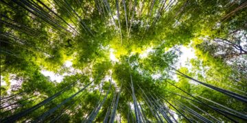 Em Ji-paraná, IDOMED realiza Seminário ESG 2026 com programação gratuita e foco em impacto local