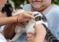 Dia D do ‘Setembro Caramelo’ imuniza mais de 30 mil animais em Porto Velho
