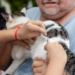Dia D do ‘Setembro Caramelo’ imuniza mais de 30 mil animais em Porto Velho
