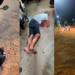 homem fica em estado gravíssimo após ser baleado e agredido durante tentativa de homicídio