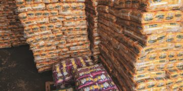 Log Fraldas já leva atendimento até a casa de pacientes em Porto Velho
