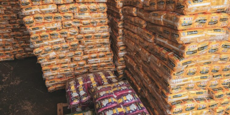 Log Fraldas já leva atendimento até a casa de pacientes em Porto Velho