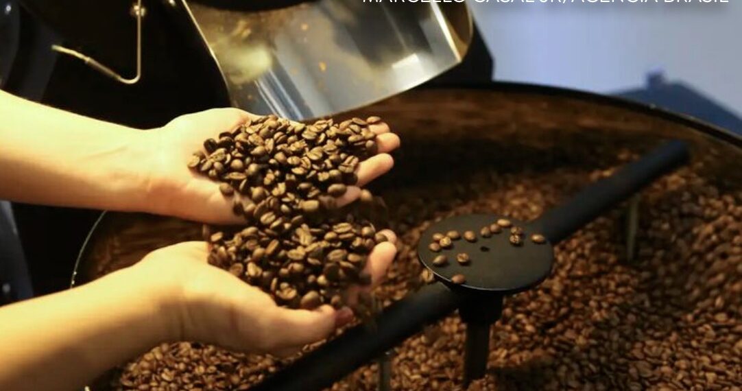 Produção de café deve fechar 2026 com 67,6 milhões de sacas, maior da série histórica
