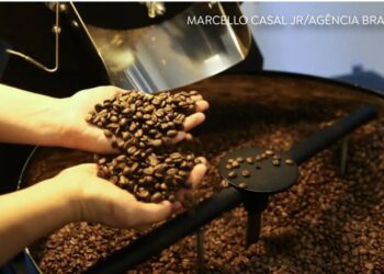 Produção de café deve fechar 2026 com 67,6 milhões de sacas, maior da série histórica