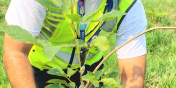 Aeroporto de Porto Velho encerra Semana do Meio Ambiente VINCI com plantio de ipês-amarelos